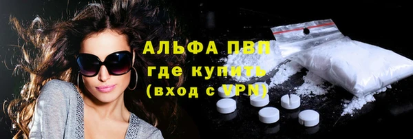 сатива Бородино