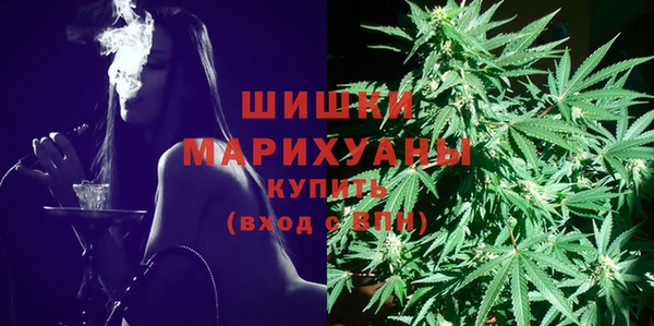 сатива Бородино