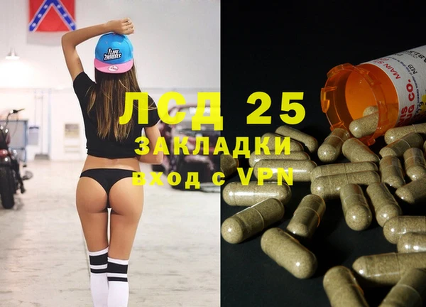 сатива Бородино
