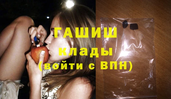 сатива Бородино