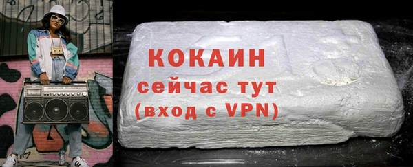 сатива Бородино