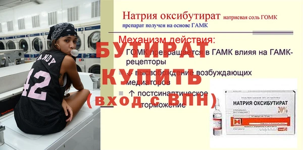 сатива Бородино