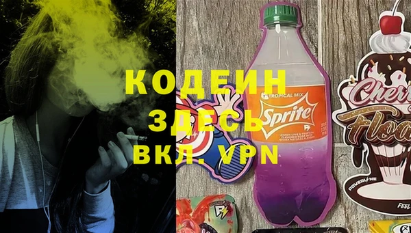 сатива Бородино