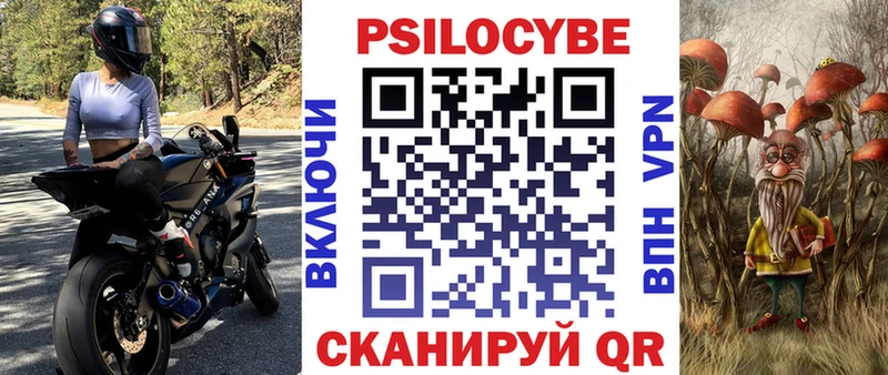 Галлюциногенные грибы Psilocybe hydra онион нарко площадка наркотические препараты Калининград